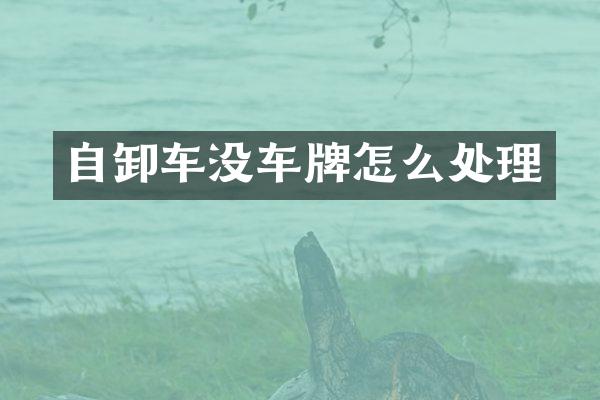 自卸车没车牌怎么处理