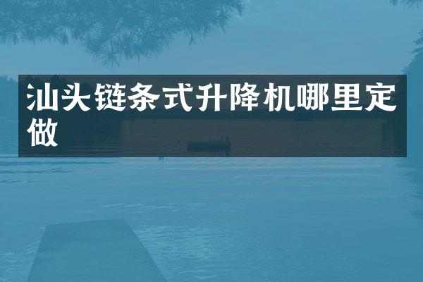 汕头链条式升降机哪里定做