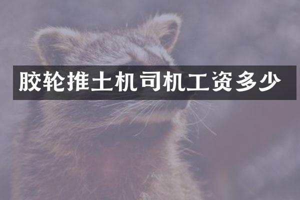 胶轮推土机司机工资多少