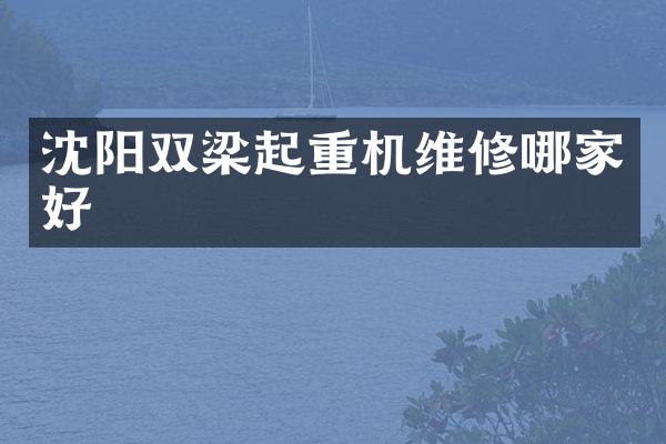 沈阳双梁起重机维修哪家好