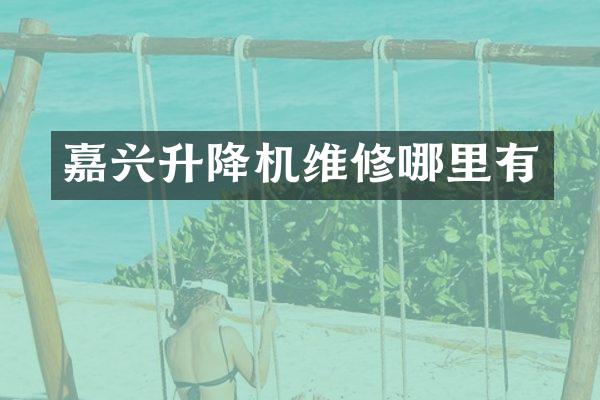 嘉兴升降机维修哪里有