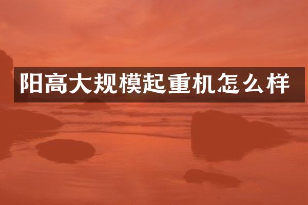 阳高大规模起重机怎么样