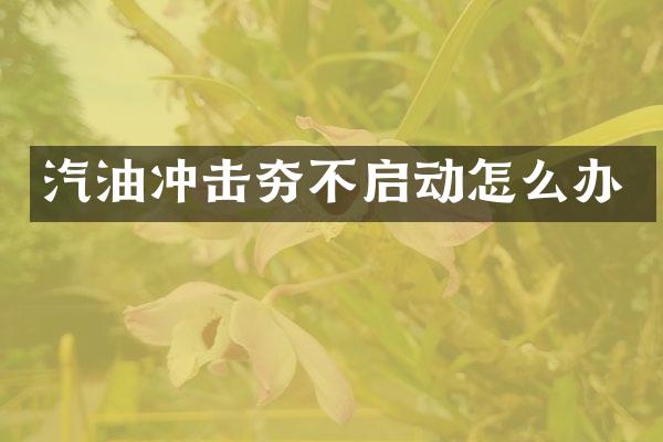 汽油冲击夯不启动怎么办