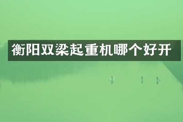 衡阳双梁起重机哪个好开