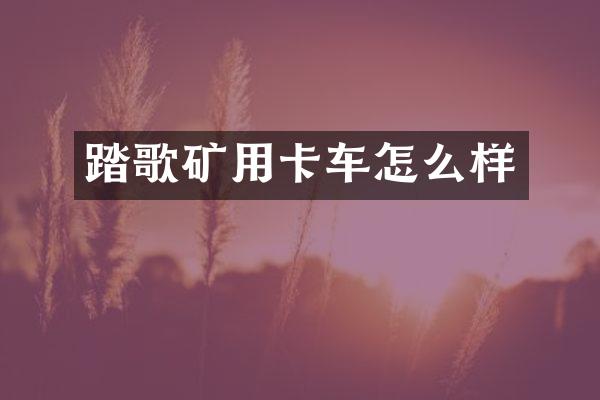 踏歌矿用卡车怎么样