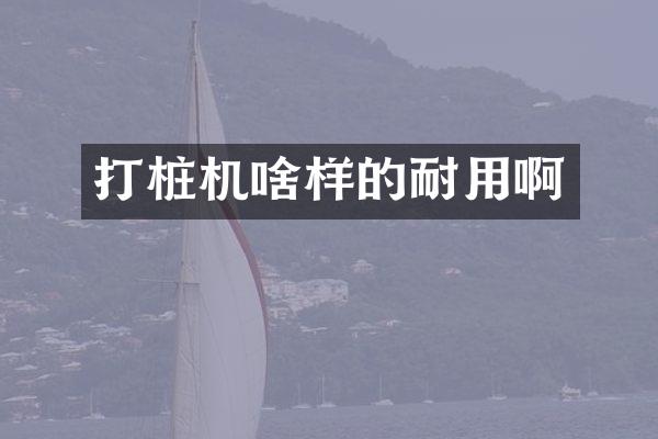 打桩机啥样的耐用啊