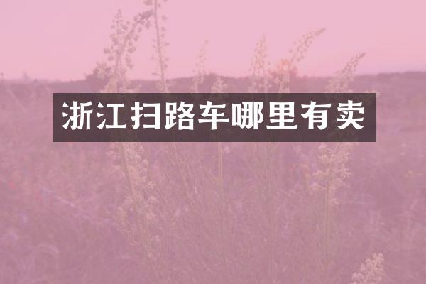 浙江扫路车哪里有卖