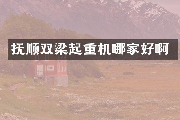 抚顺双梁起重机哪家好啊