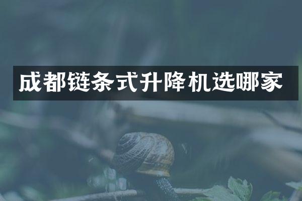 成都链条式升降机选哪家