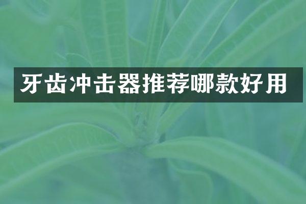 牙齿冲击器推荐哪款好用