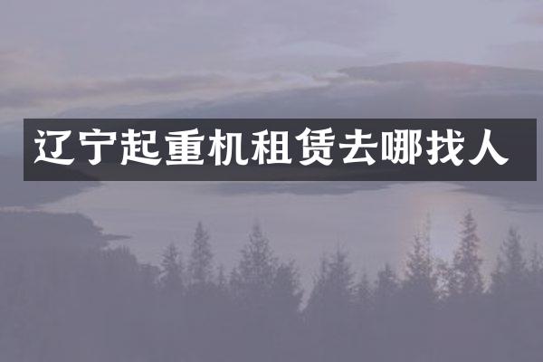 辽宁起重机租赁去哪找人