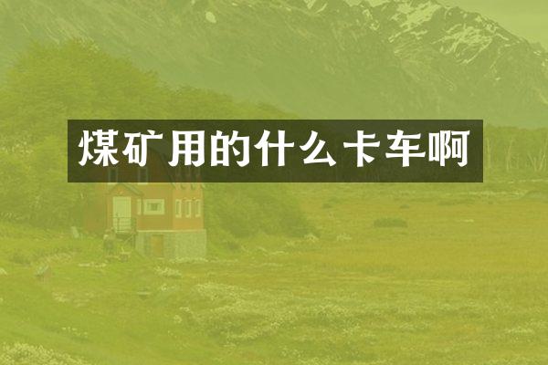 煤矿用的什么卡车啊