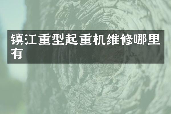 镇江重型起重机维修哪里有