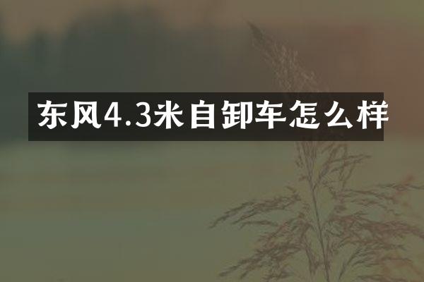 东风4.3米自卸车怎么样
