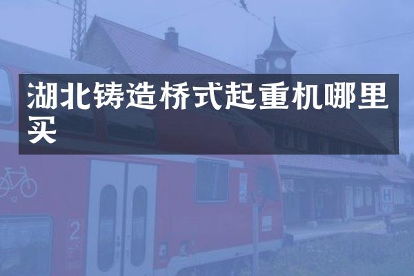 湖北铸造桥式起重机哪里买