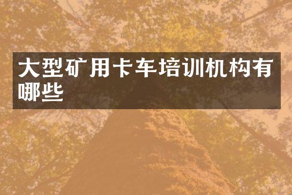 大型矿用卡车培训机构有哪些