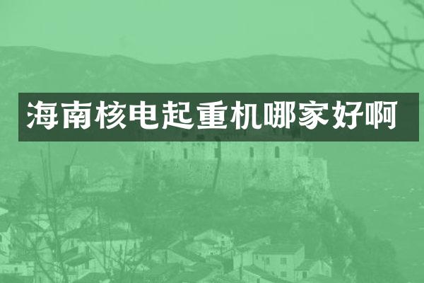 海南核电起重机哪家好啊