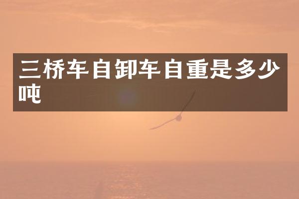 三桥车自卸车自重是多少吨
