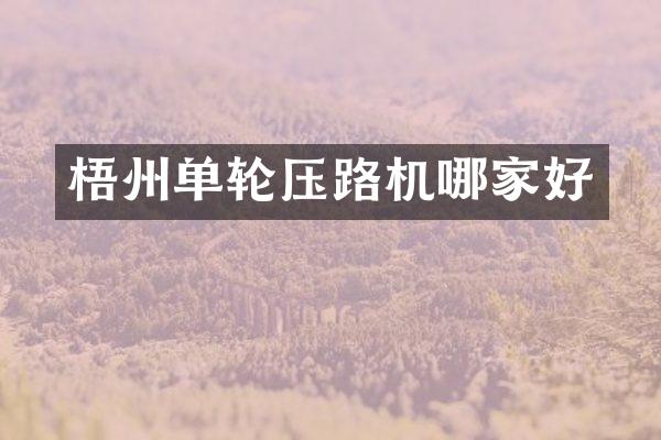 梧州单轮压路机哪家好