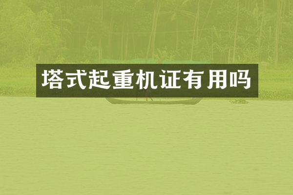 塔式起重机证有用吗