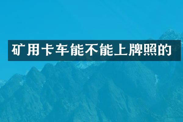 矿用卡车能不能上牌照的
