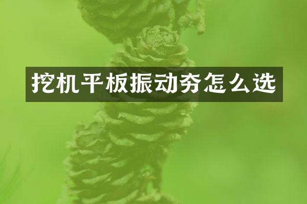 挖机平板振动夯怎么选