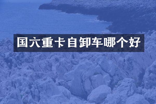 国六重卡自卸车哪个好