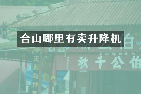 合山哪里有卖升降机