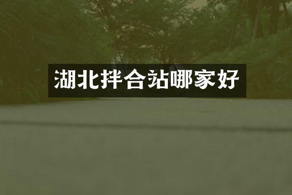 湖北拌合站哪家好