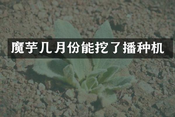 魔芋几月份能挖了播种机