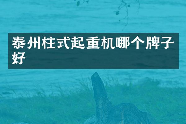 泰州柱式起重机哪个牌子好