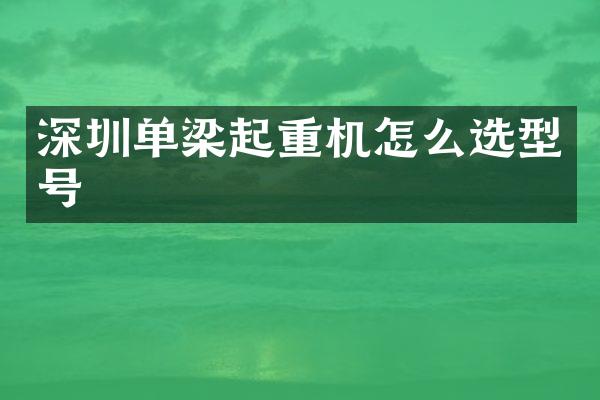 深圳单梁起重机怎么选型号