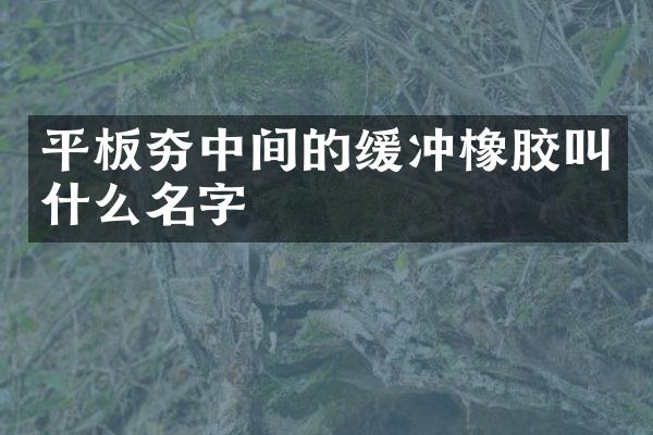 平板夯中间的缓冲橡胶叫什么名字