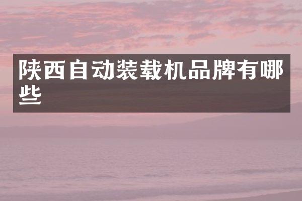 陕西自动装载机品牌有哪些