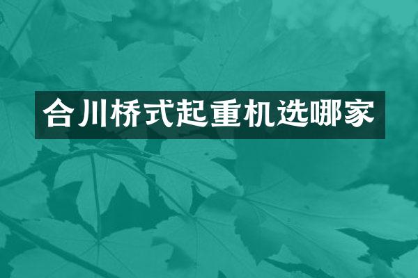 合川桥式起重机选哪家