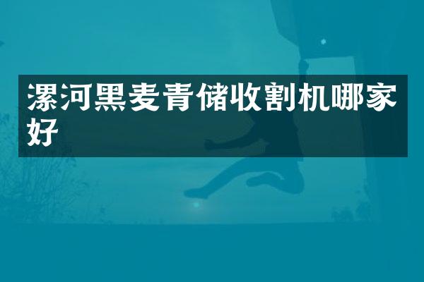 漯河黑麦青储收割机哪家好