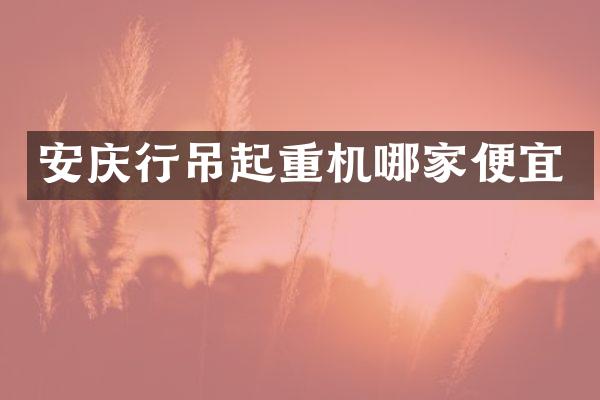 安庆行吊起重机哪家便宜