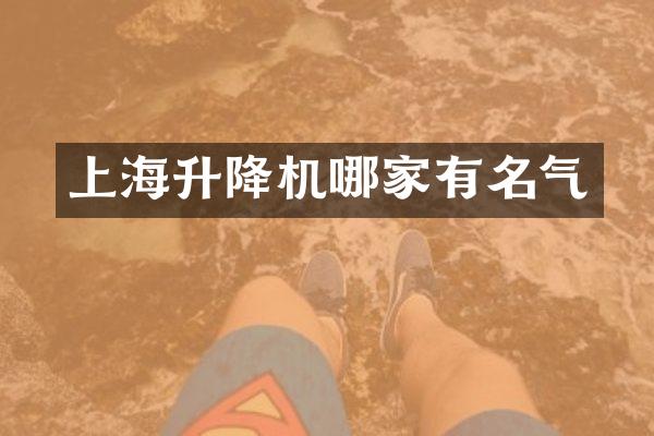 上海升降机哪家有名气