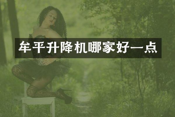 牟平升降机哪家好一点