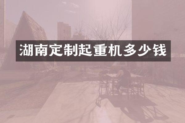 湖南定制起重机多少钱