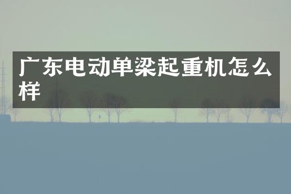 广东电动单梁起重机怎么样