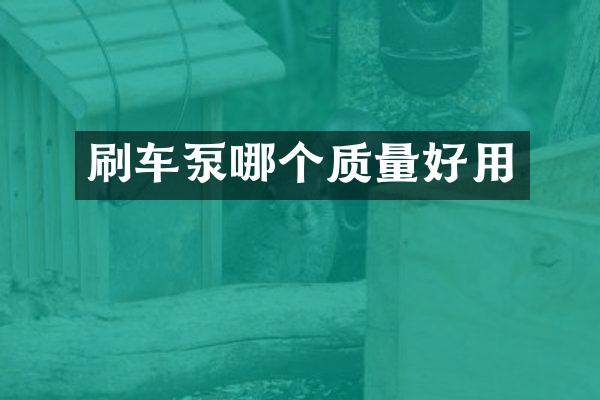 刷车泵哪个质量好用