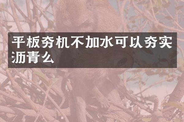 平板夯机不加水可以夯实沥青么