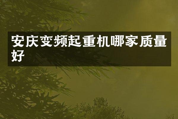 安庆变频起重机哪家质量好