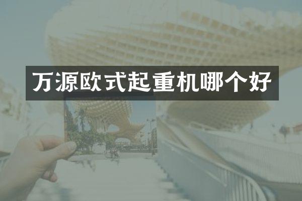 万源欧式起重机哪个好