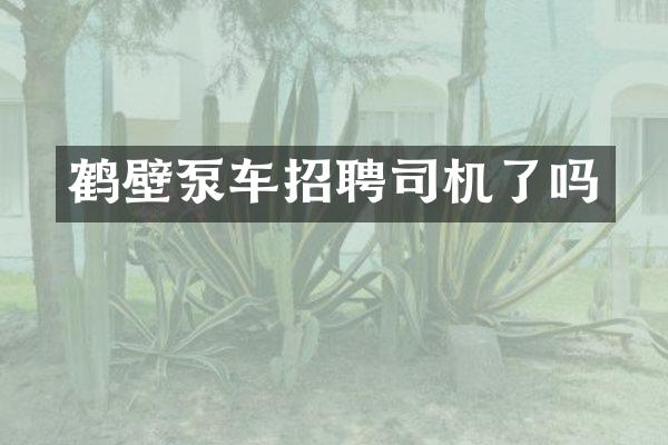 鹤壁泵车招聘司机了吗