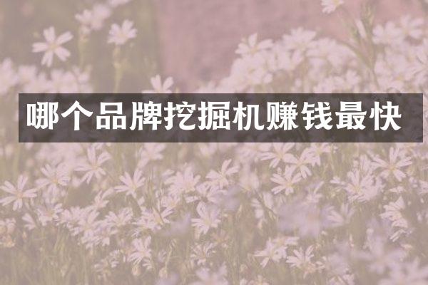 哪个品牌挖掘机赚钱最快