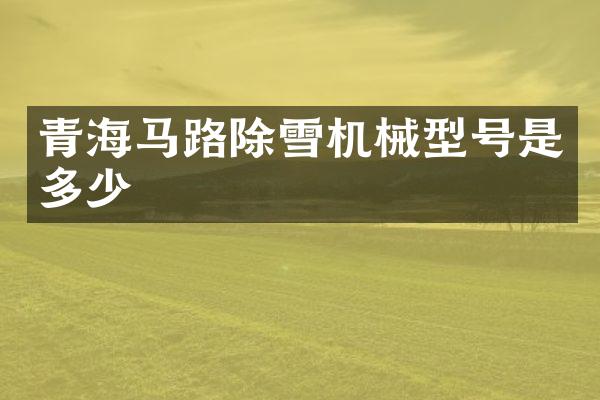 青海马路除雪机械型号是多少
