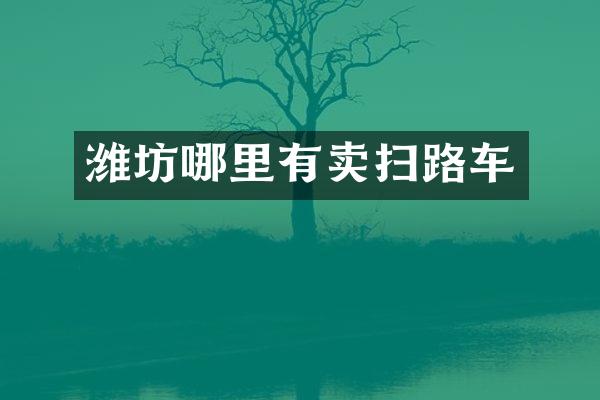 潍坊哪里有卖扫路车
