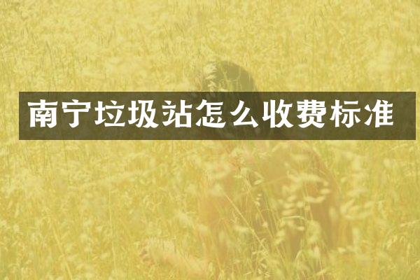 南宁垃圾站怎么收费标准